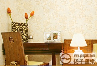 中国扬子集团 从产品到店铺，铸就品牌形象与建筑工程的卓越典范